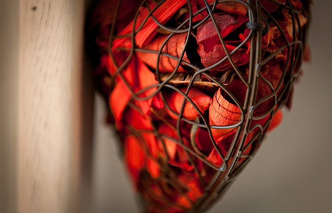 网络手机号免费版