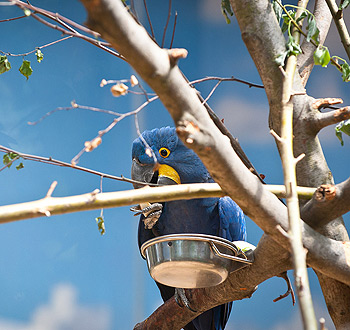 在线短信轰炸测试