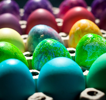 网络手机号免费版