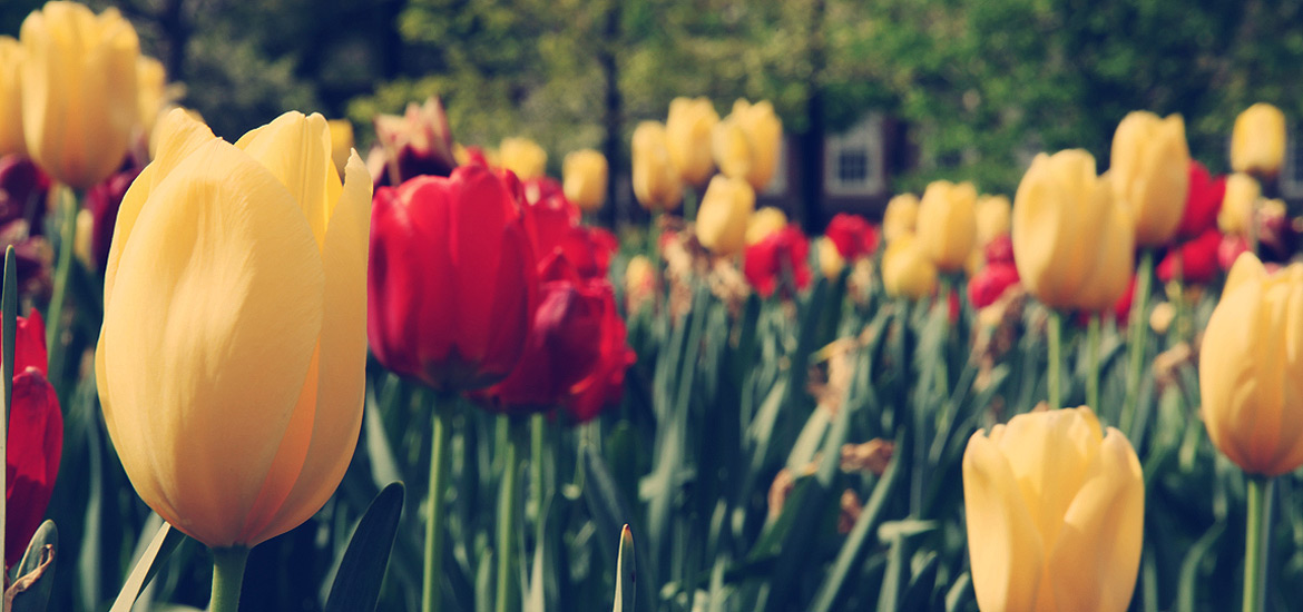 电话连环呼叫软件