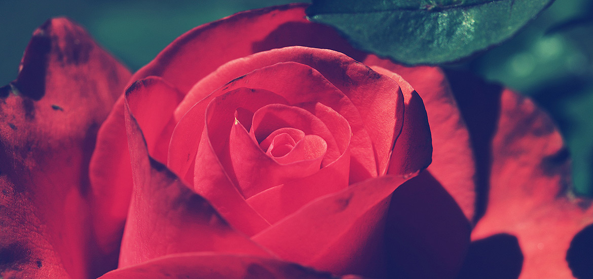 轰炸手机号码软件